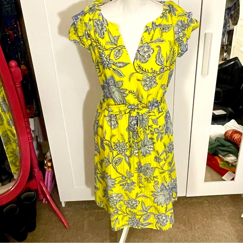 NWT LOFT Trellis Garden Ruffle Sleeve Dress in petite Medium